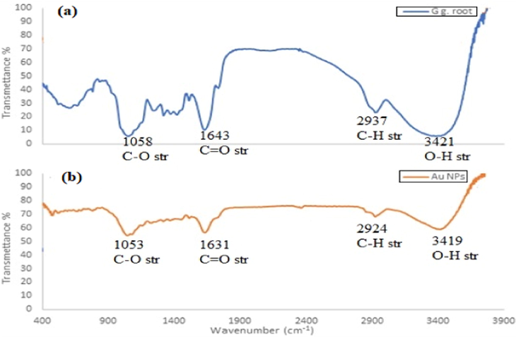 FTIR spectra of AuNPs and licorice root extract.