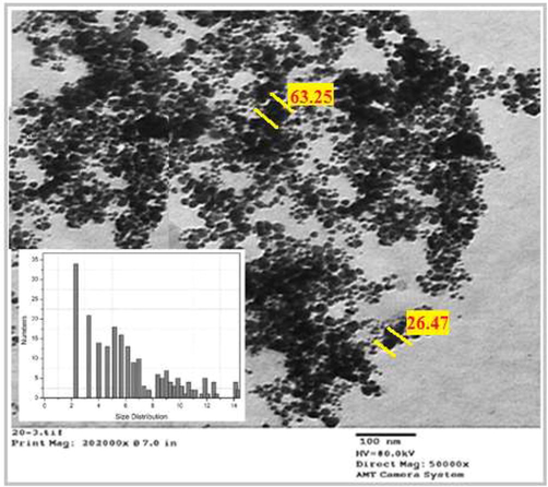 TEM image of AuNps produced by Licorice root extract, inset showing size distribution.