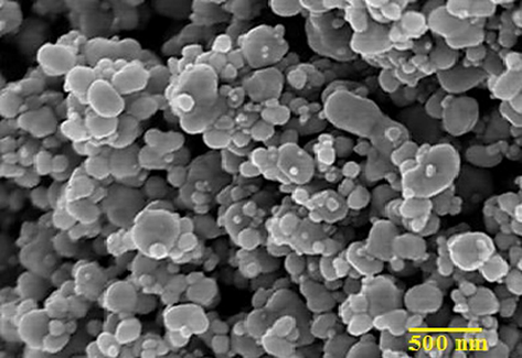 SEM image of AuNPs synthesized by Licorice root extract.