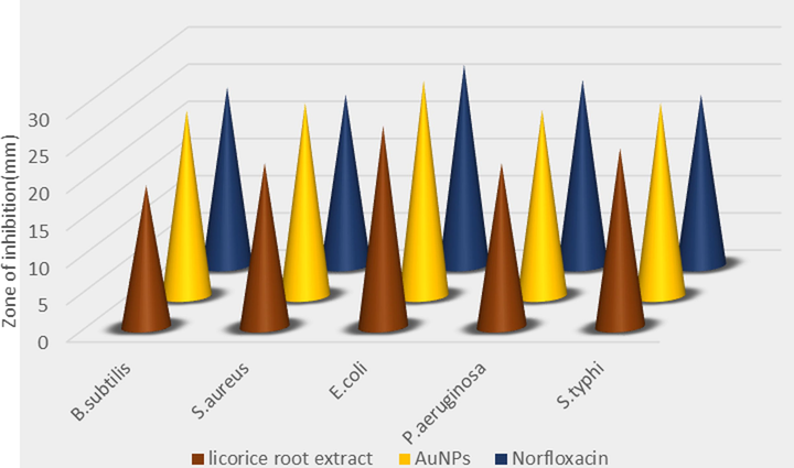 Bar diagram showing zone of inhibition of antibacterial analysis of AuNp synthesized by Licorice root extract.