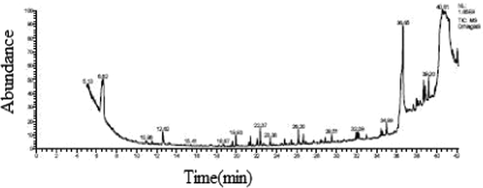 The chromatogram from the GC–MS analysis of the licorice root of setorel copmpund.