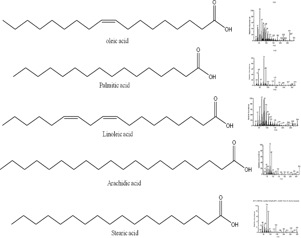 Mass spectrum of compounds of fatty acid in licorice root.