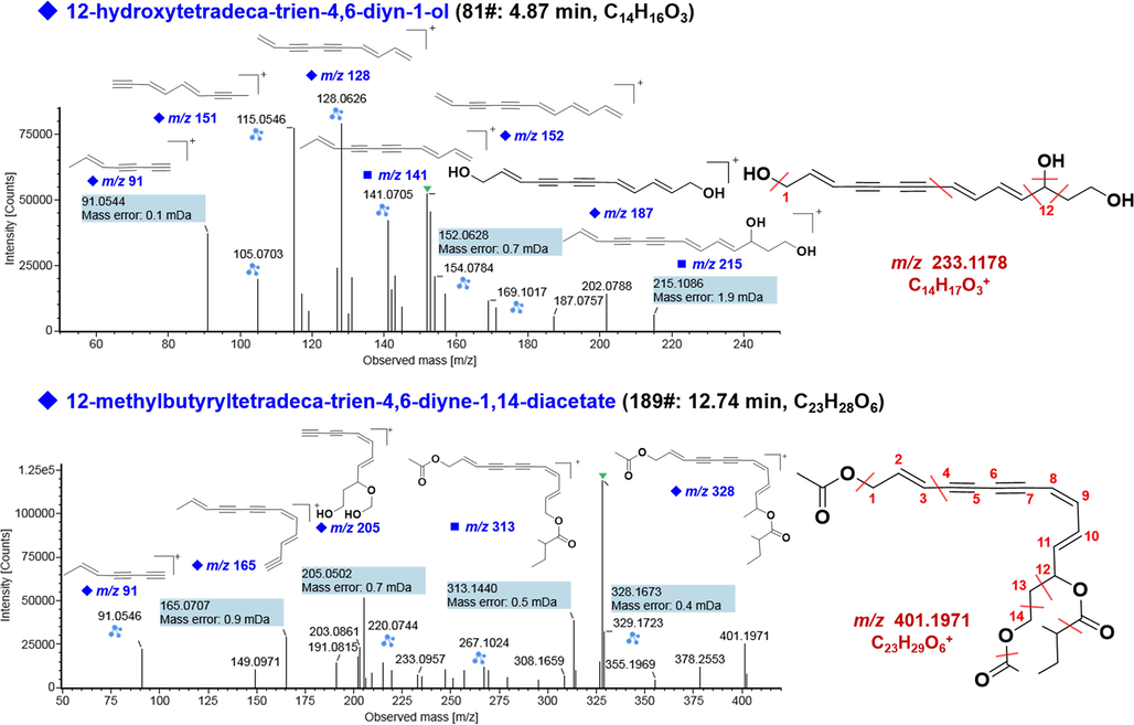 Illustration for the annotation of the positive CID-MS2 spectra of representative polyacetylenes (compounds 81# and 189#).