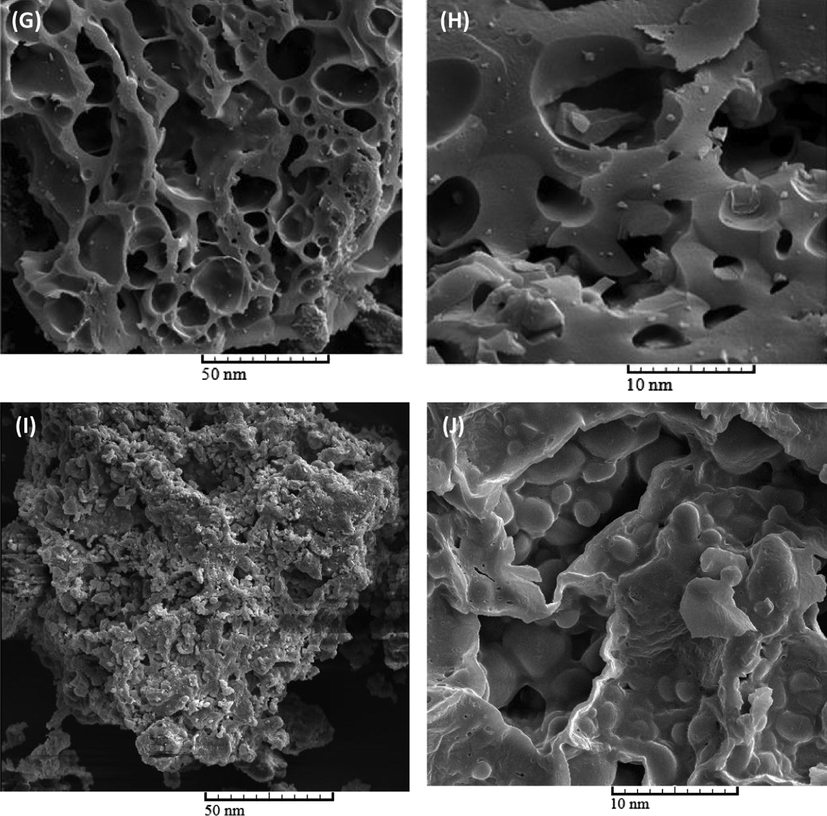 Structure and morphology characterizations of oak seeds (A, B) and the activated carbons prepared at different temperature, At 450 °C (C, D), 550 °C (E, F), 650 °C (G, H) and 750 °C (I, J).