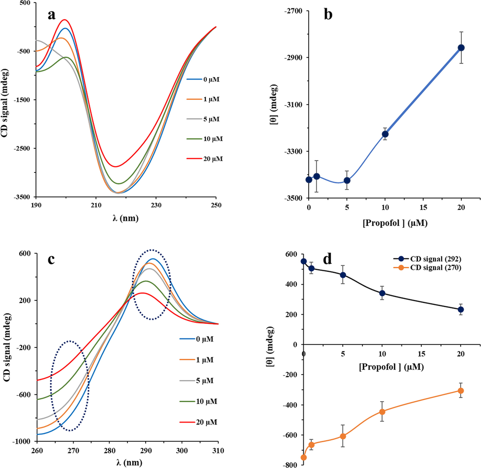 Far-UV CD (a), ellipticity changes at 217 nm (b), near-UV CD (c), and ellipticity changes at 295 nm and 270 nm (d) for IgG after interaction with varying concentrations of propofol (1, 5, 10 and 20 µg/mL) in 10 mM phosphate buffer (pH 7.4) at room temperature.