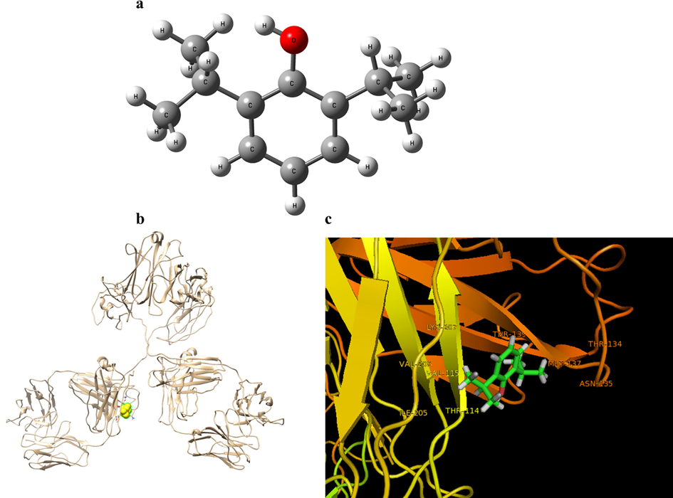 The optimized structure of propofol molecule (a). Crystal structure of IgG and the binding site of propofol in IgG (b). IgG backbone is depicted in the ribbon representation, and propofol in the binding pocket is shown in the ball representation. The propofol and interacting residues (c).