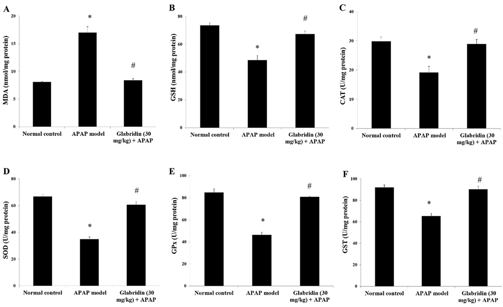 Effect of glabridin on APAP-induced (A) MDA, (B) GSH and antioxidant enzymes (C) CAT, (D) SOD, (E) GPx, (F) GST in rats. Data were shown as mean ± SD (n = 6). ‘*’ represents statistical difference (p < 0.05) from normal group I, whereas ‘#’ represents statistical difference (p < 0.05) from APAP-induced group II.