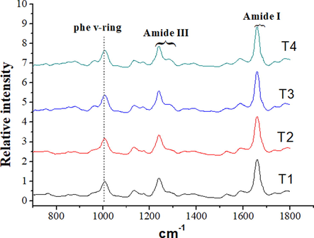 Raman spectra of cooked chicken meat batters were made with various amount of sodium tripolyphosphate or sodium bicarbonate in the region 700–1800 cm−1. T1: 0.3% sodium tripolyphosphate; T2: 0.5% sodium tripolyphosphate; T3: 0.3% sodium bicarbonate; T4: 0.5% sodium bicarbonate.