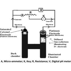 Article figure