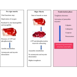 Article figure