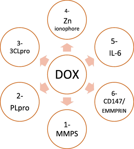 Purposed multiple effects of doxycycline against SARS-COV-2 and/or attenuation of its complications (Kong et al., 2015, Phillips et al., 2017; Wu et al., 2020; Griffin et al., 2010; te Velthuis et al., 2010; Sargiacomo et al., 2020; Wang et al., 2020).