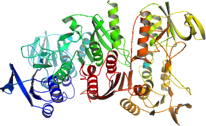 Crystal structure of the NADPH (PDB ID-2CDU) enzymes (water molecules and inhibitors are removed for clarity).