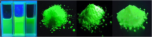 Pictures of the solid powder samples of three complexes, Tb(oct-ala)3·H2O, Tb(oct-phe)3·H2O, and Tb(oct-ser)3·3H2O, and the complex solutions in ethanol irradiated with an ultraviolet lamp at 254 nm.