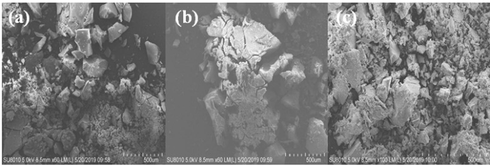 SEM images of (a) Tb(oct-ala)3·H2O, (b) Tb(oct-phe)3·H2O, (c) Tb(oct-ser)3·3H2O.