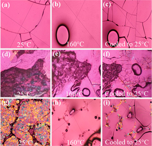 Polarized microscope images of three complexes at different temperatures. (a) (b) (c) Tb(oct-ala)3, (d) (e) (f) Tb(oct-phe)3, (g) (h) (i) Tb(oct-ser)3.