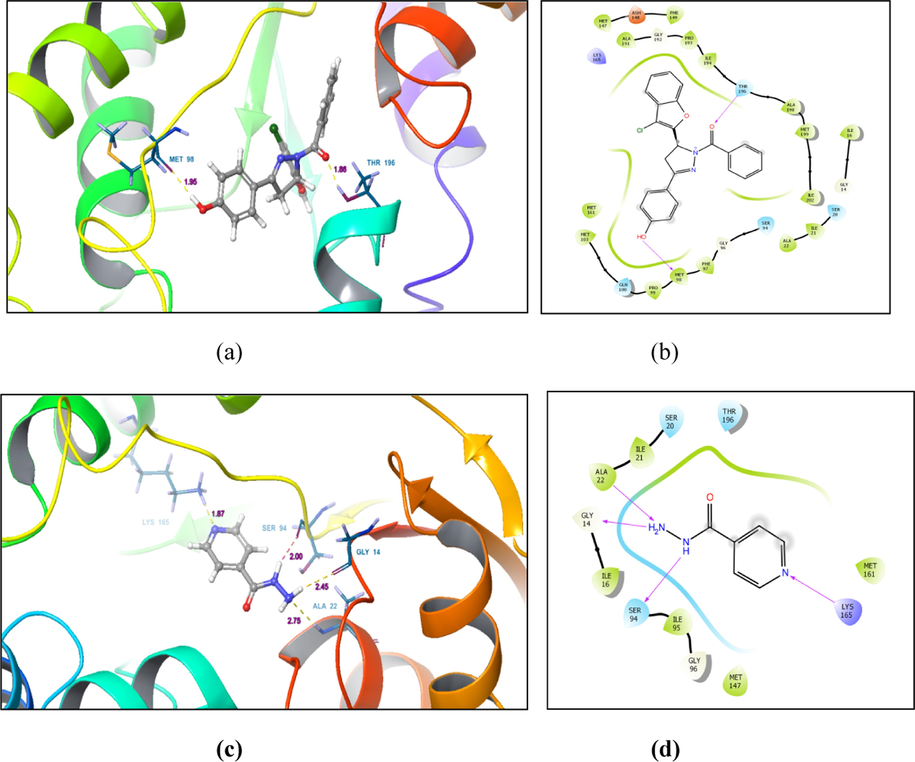 Molecular docking of compound 3b and isoniazid (a) 3D interaction pose of compound 3b at the binding site (b) 2D interaction of compound 3b with different residues at the binding site (c) 3D interaction pose of isoniazid at the binding site (d) 2D interaction of isoniazid with different residues at the binding site.