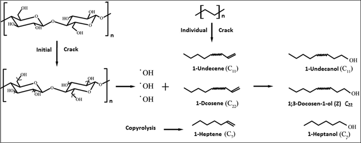 Mechanism of the possible interaction between plastic and biomass for production of liquid fuel rich in long chain alcohols functional group (Chen et al., 2017a,b).