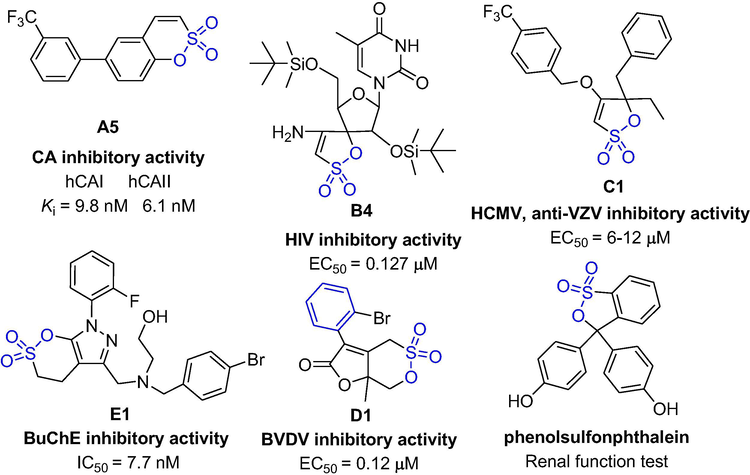 The structures of some active compounds.