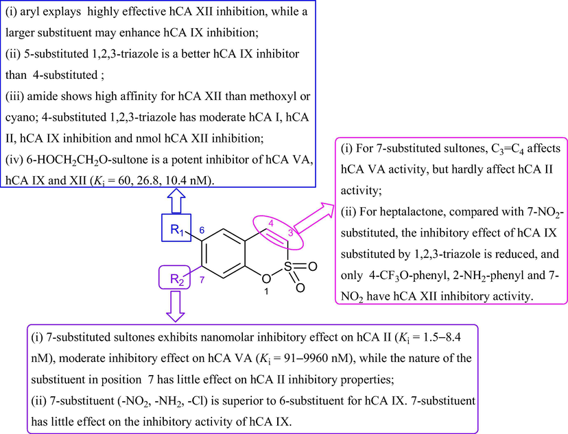 SARs of the sultone-based hCA inhibitors.