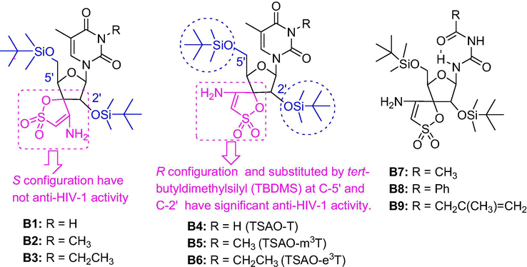 SARs of base-modified TSAO compounds.