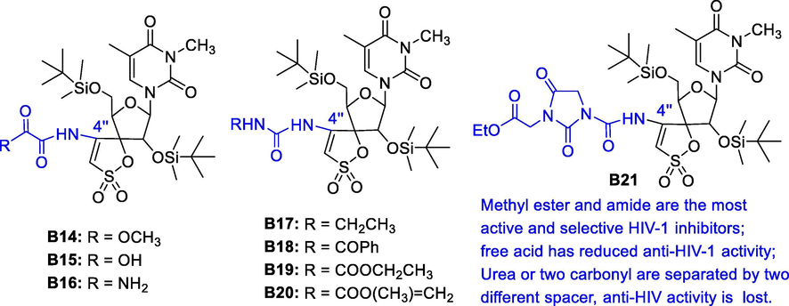 Potent anti-HIV-1 and HCMV activity of TSAO derivatives B14-B21.