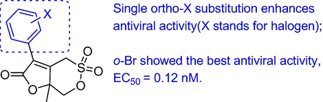 Anti-BVDV activity of δ-sultone.