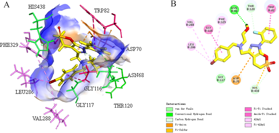 (A) 3D mode of the pocket surface of compound E1 with receptor hBuChE (PDB ID: 5LKR), (B) 2D mode of the interaction of active compound with receptor hBuChE (conventional H bond and C–H bond, halogen, π–anion, alkyl, and π–alkyl are represented by green, light green, brown, pink and light pink lines, respectively). Discovery Studio Client v18.1.0 were used to present images.