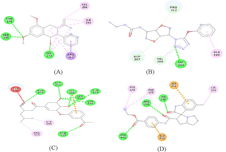 The 2D diagram of the interaction between the protein residues and the compounds A-SZ1, B-SZ2, C-SZ3 and D- SZ4. ARG, arginine; ASP, aspartate; LYS, lysine; ASN, asparagine; GLU, glutamate; THR, threonine; LEU, leucine; PRO, proline; PHE, phenylalanine; CYS, cysteine; PRO, proline, TYR, tyrosine; VAL, valine; ILE, isoleucine; ALA, alanine, GLN, glutamine.