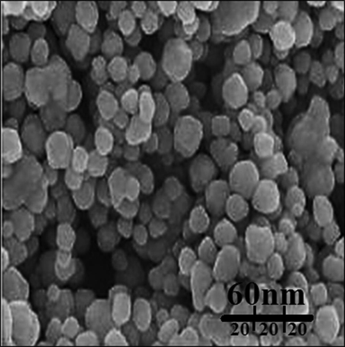 FE-SEM image of gold nanoparticles.