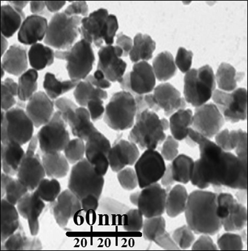 TEM image of gold nanoparticles.