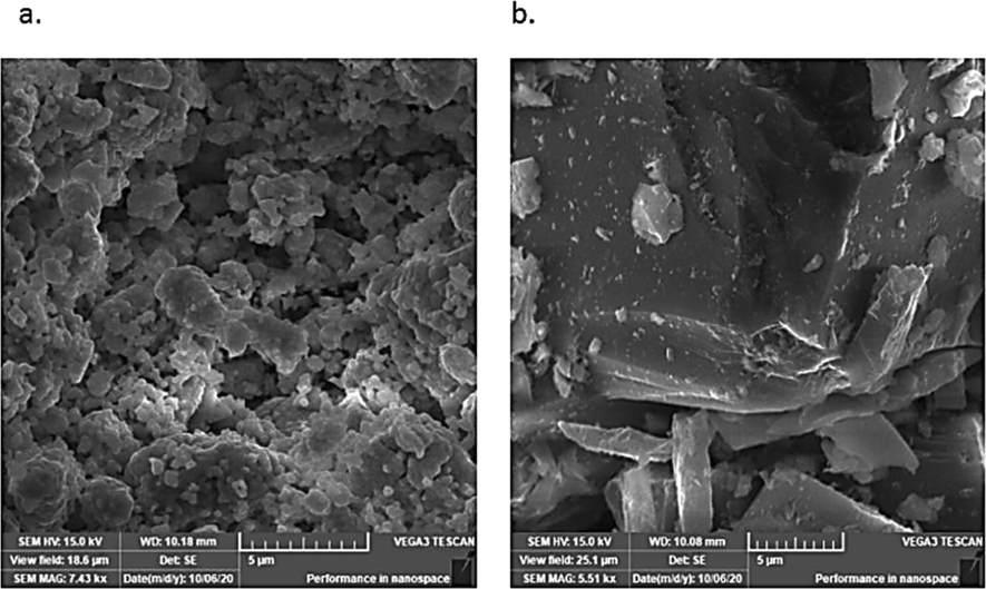 Scanning electron micrograph of zeolite (a) before adsorption and (b) after adsorption.