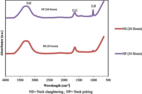 FTIR spectra of metabolite profile for neck slaughtering (NS) and neck poking (NP) chicken meats. The experiment was repeated three times.