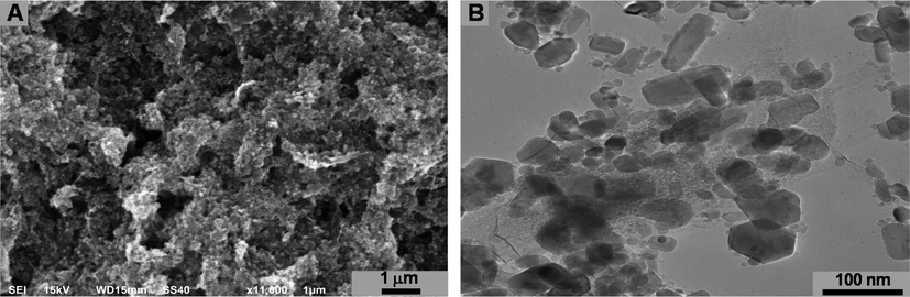 SEM (A) and TEM (B) micrograph of biosynthesized ZnO NPs.