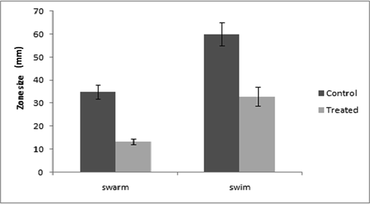 Bar graphs of P. aeruginosa PAO1 representing swarming and swimming motilities before and after treatment with ZnO NPs (300 µg/mL). Swarming and swimming expressed as diameter of swarm and swim in mm. Error bars are representative of standard deviation.