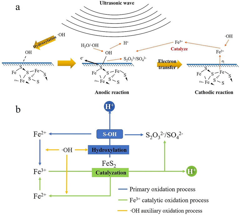 (a) the oxidation mechanism of pyrite under ultrasonic cavitation; (b) Migration diagram of elements during pyrite oxidationBase on pyrite oxidation mechanism under ultrasound, the utilization of ultrasonic pretreatment in refractory gold ore is a promising technology. It could be an environmental-friendly and low cost way to improving gold recovery rate in refractory gold ore. Meanwhile, the application of ultrasonic treatment combined with traditional methods, such as chemical oxidation pretreatment or high-pressure oxidation pretreatment (Li et al., 2009; Shaoluan et al., 1997; Nunan et al., 2017), could also improve pretreatment result which enhanced gold leaching.