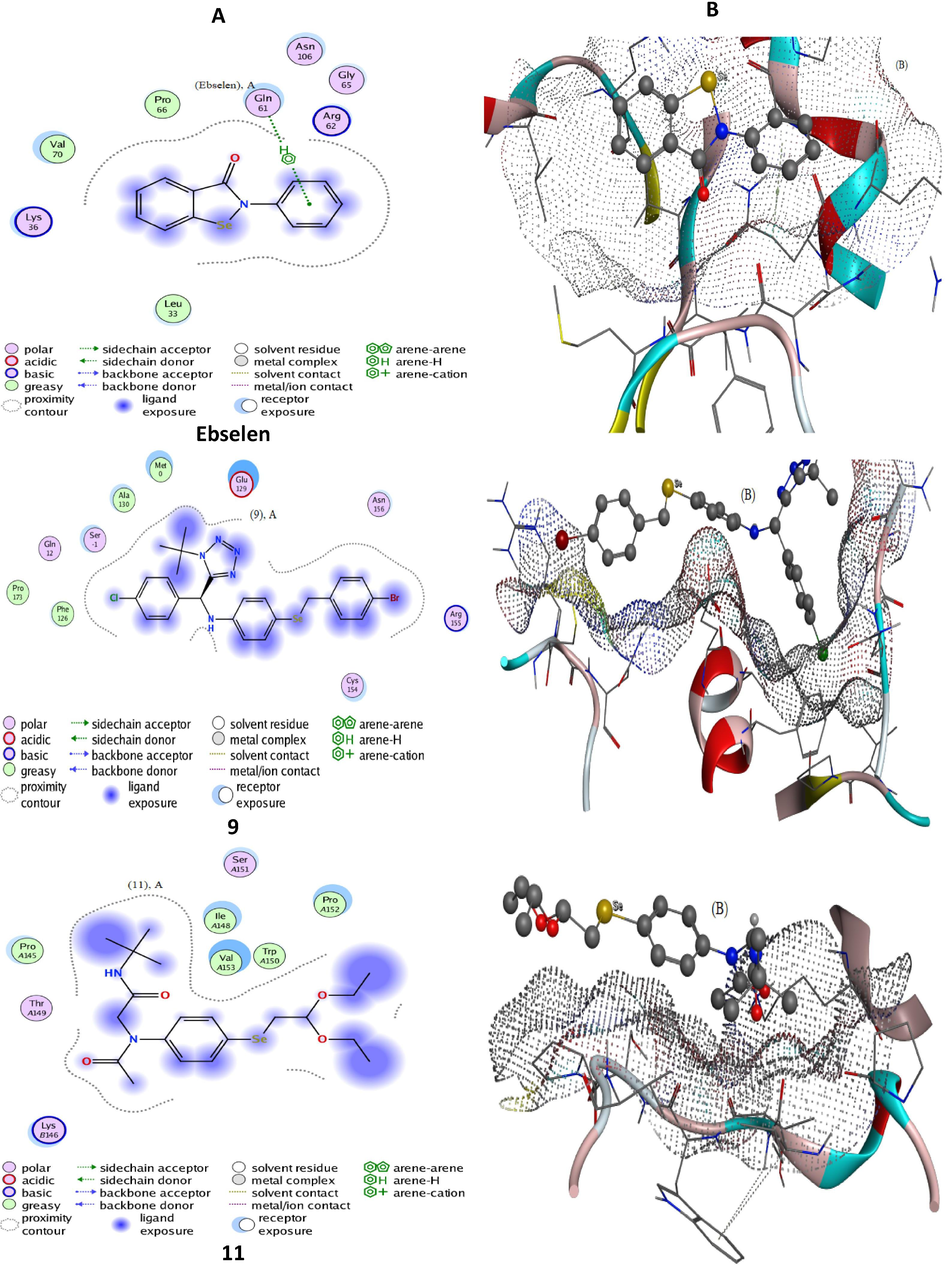 Docking patterns (panel A) and surface maps (panel B) for for selected conformers of compounds 9 and 11 and ebselen against 2F8A protein.