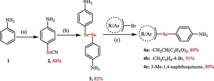 Synthesis of the organoselenium-based amines 4a-c. Reagents and conditions: (a) SeO2 (2.4 mmol), malononitrile (1.2 mmol), aniline (2 mmol), DMSO (2 ml); (b) NaBH4 (6 mmol), 4-selenocyanatoaniline 2 (2 mmol), EtOH (10 ml); (iii) Halo-derivative (1.1 mmol), aliquat 336 (5% mol), NaBH4 (3 mmol), EtOAc: H2O (1:1).