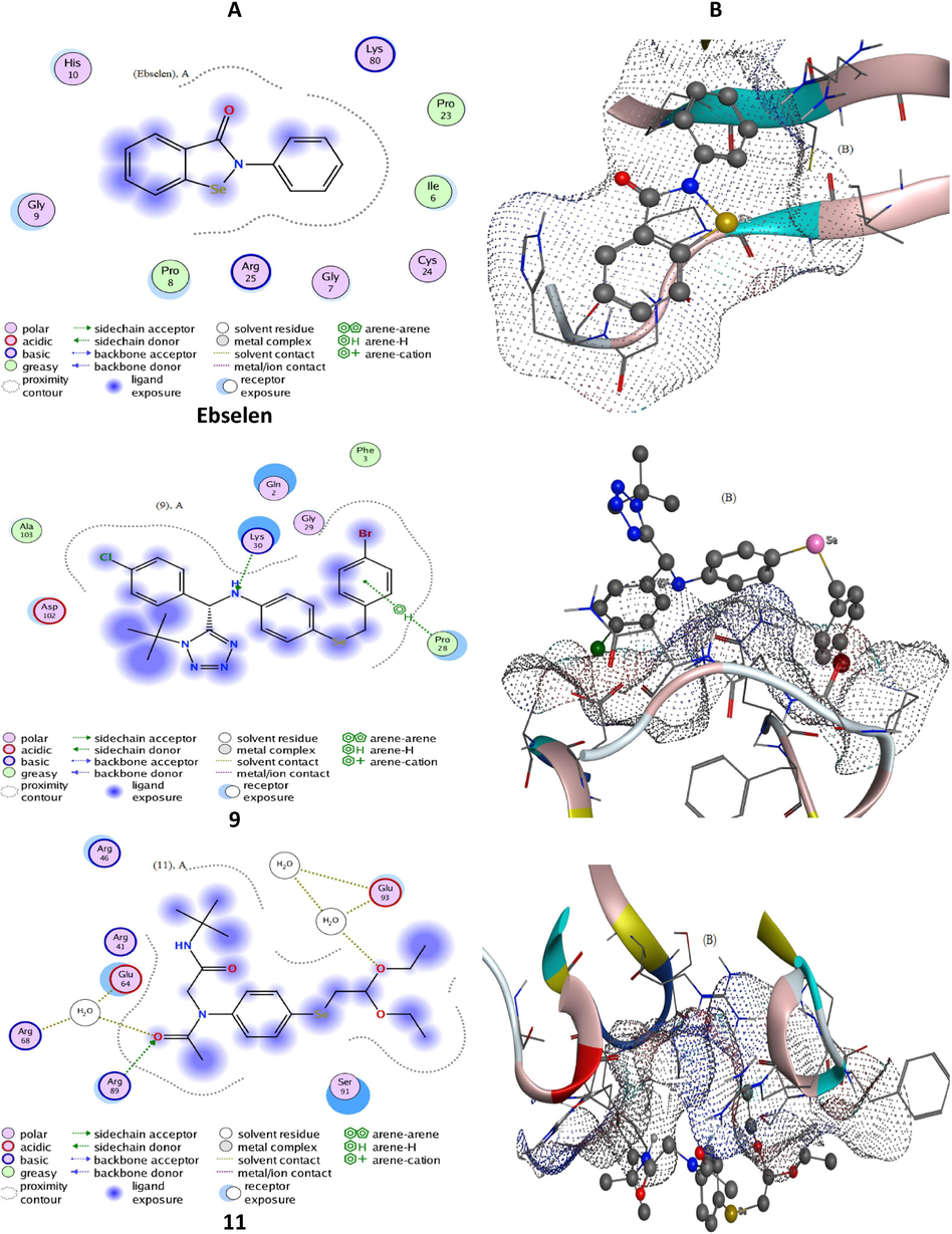 Docking patterns (panel A) and surface maps (panel B) for selected conformers of compounds 9 and 11 and ebselen against 3C1L protein.