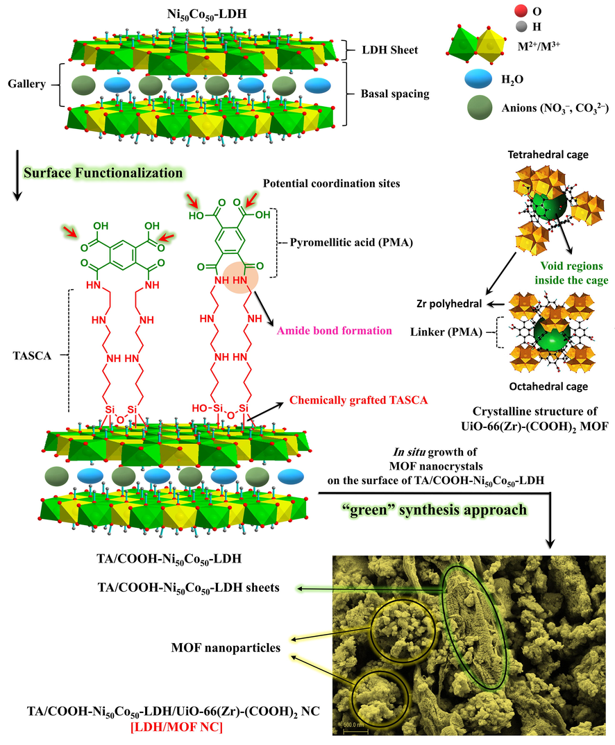 The overall synthesis process of the LDH/MOF NC.