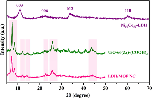 XRD patterns of the samples.