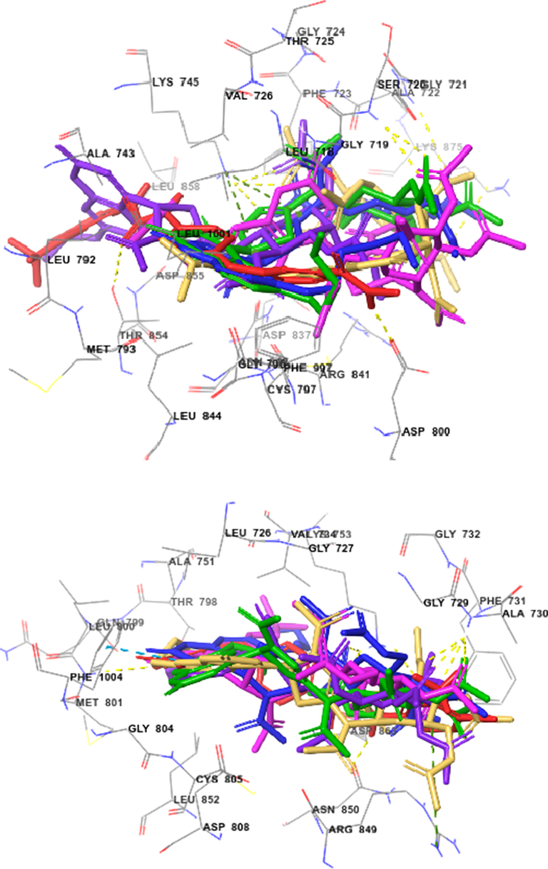 Docked (superimposed) poses showed Sorafenib (red) and the best kinase inhibitory active compounds 9b (green), 9c (blue), 9e (violet), 9f (magenta), and 9g (orange) on EGFR (top) and HER2 (bottom).