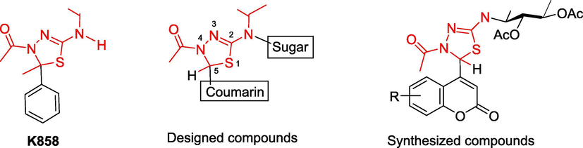 Chemical structures of the K858-based 2,3-dihydro-1,3,4-thiadiazoles for development of new anticancer agents having coumarin and sugar moieties.