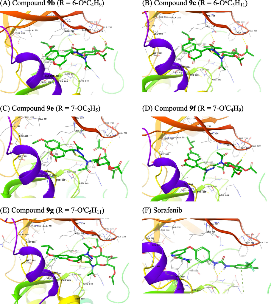 The 3D interactions with EGFR of selected compounds 9a,9c.9d,9f, and 9g (A − E) and of Sorafenib (F).