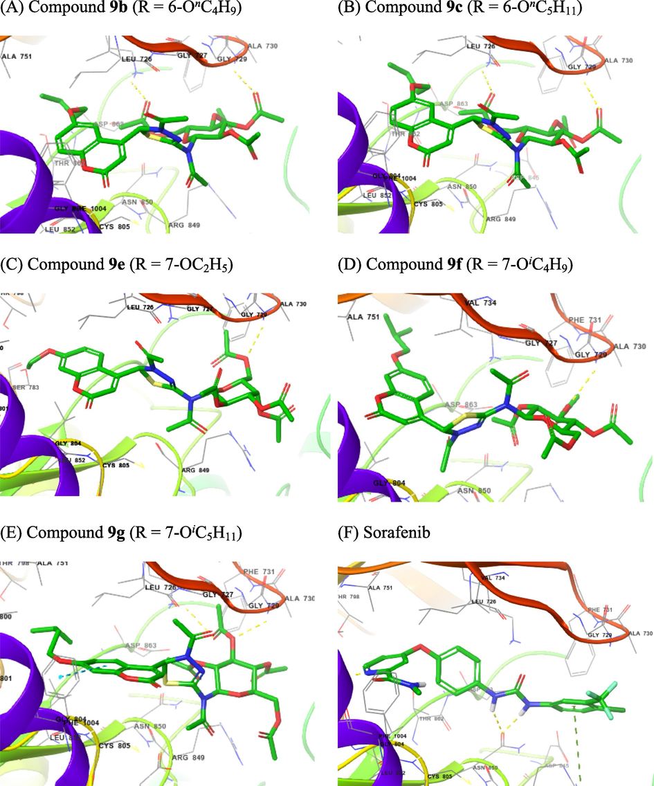 The 3D interactions with HER2 of selected compounds 9a,9c.9d,9f, and 9g (A − E) and of Sorafenib (F).