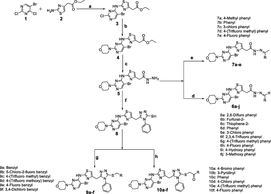 Synthetic pathway for the preparation of 5-bromo-pyrimidine derivatives. a) Potassium carbonate, 1,4 Dioxane, refluxed for 24 h. b) Ethanol, morpholine, and triethylamine, refluxed for 12 h. c) Hydrazine hydrate, ethanol, refluxed for 8 h. d) Substituted aldehyde, glacial acetic acid, ethanol, refluxed for 3 h. e) Substituted acetophenone, glacial acetic acid, ethanol, refluxed for 3 h. f) Phenyl isothiocyanate, ethanol, sodium hydroxide, refluxed for 4 h. g) Substituted benzylbromides, ethanol, potassium hydroxide, 25–30 °C for 5 h. h) Substituted phenacylbromides, ethanol, potassium hydroxide, 25–30 °C for 5 h.