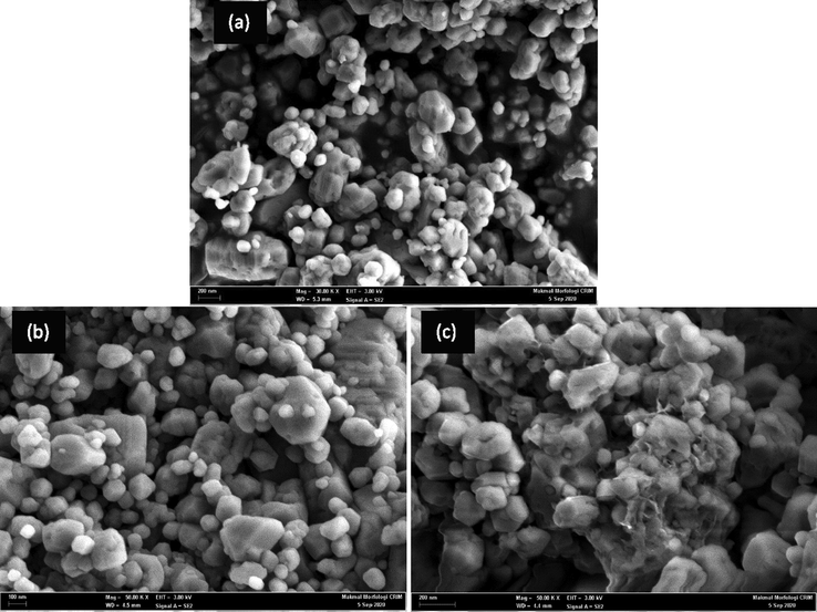 FESEM images of (a) NPs, (b) F-NPs, (c) Urs/F-NPs.