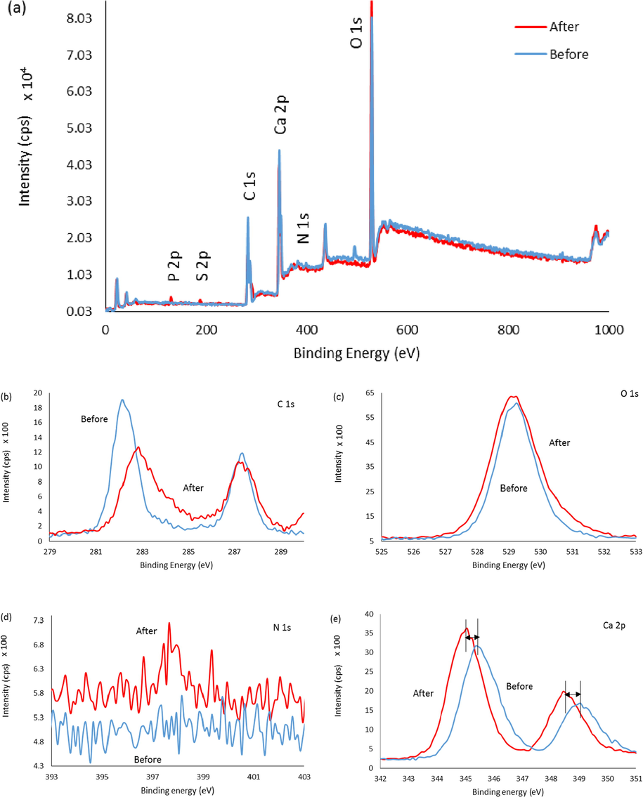 A comparison of XPS spectra of F-NPs before and after immobilisation with Urs. (a) XPS survey spectra, (b) C 1s scan, (c) O 1s scan, (d) N 1s scan, and (e) Ca 2p scan.