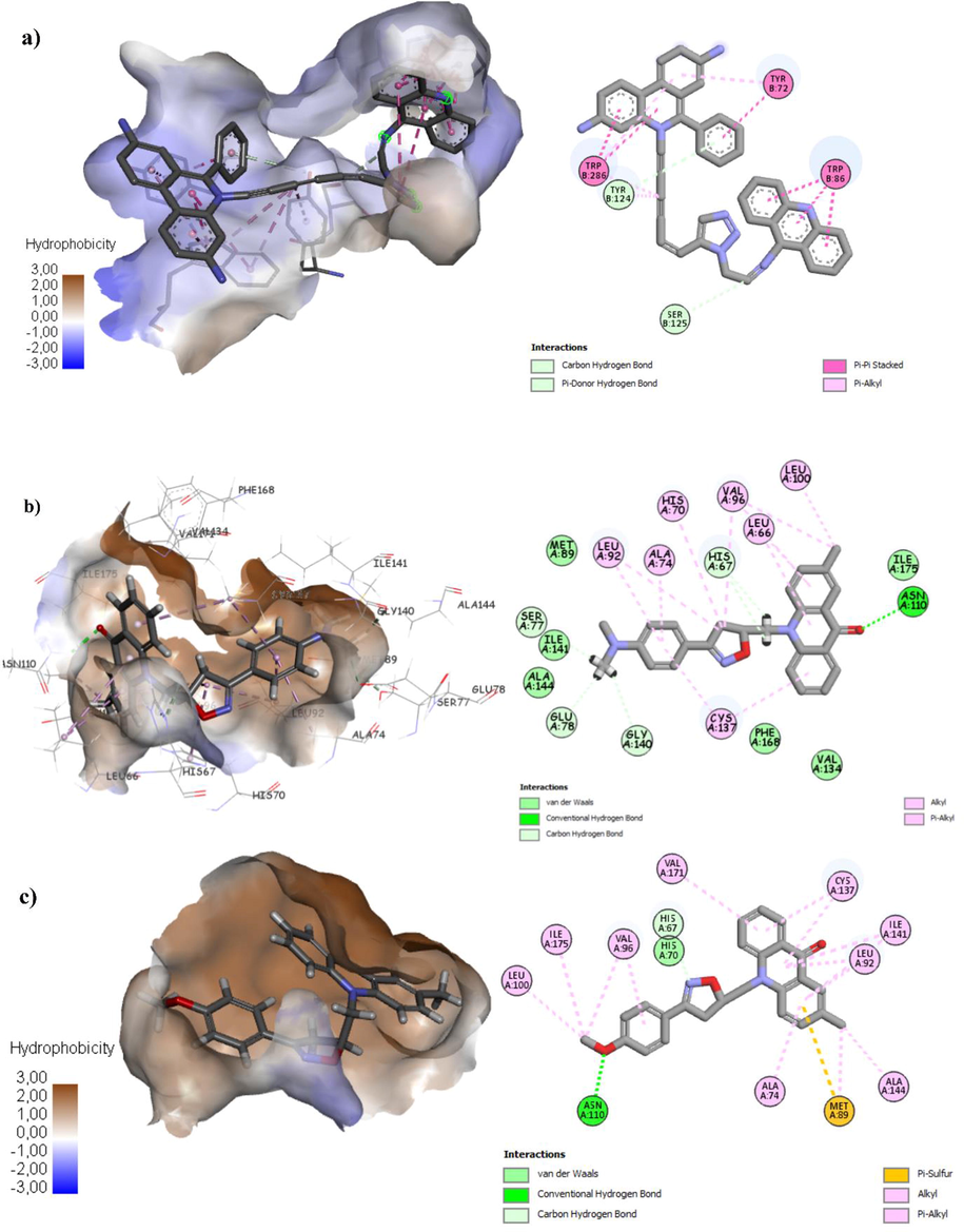 (a) Binding mode of co-crystalized compound with TtgR enzyme. (b) Binding mode of compound most active compound 2k with TtgR enzyme. (c) Binding mode of compound 2h with TtgR enzyme.