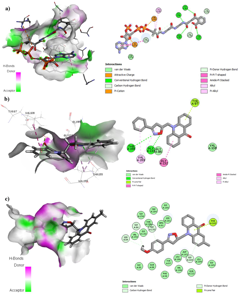 (a) Binding mode of the co-crystalized ligand with E. coli MenB, OSB-NCoA complex, the hydrogen bonds are presented in green dashed lines. (b) Binding mode of compound 2a with E. coli MenB, OSB-NCoA complex, the hydrogen bonds are presented in green dashed lines. (c) Binding mode of compound 2h with Escherichia coli MenB, OSB-NCoA complex.