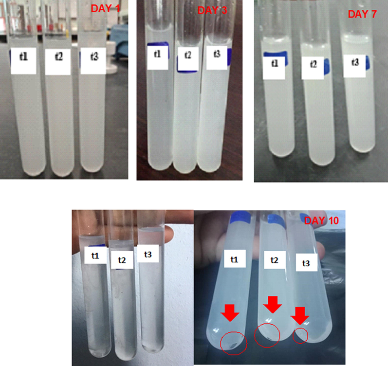 Sedimentation of trihybrid nanofluids from Day 1 until Day 10, which the solutions were kept at room temperature.